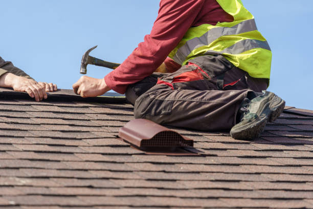 Best Local Roofing Companies  in Dane, WI