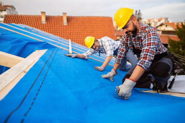 Best Flat Roof Repair Services  in Dane, WI