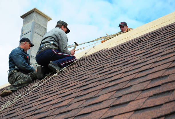 Best Flat Roof Repair Services  in Dane, WI