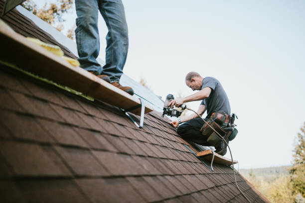 Best Shingle Roofing Installation  in Dane, WI